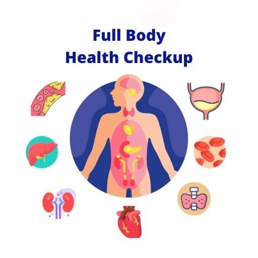Healthify Basic Wellness